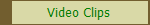 Video Clips